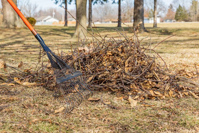 Removing Debris from Lawn