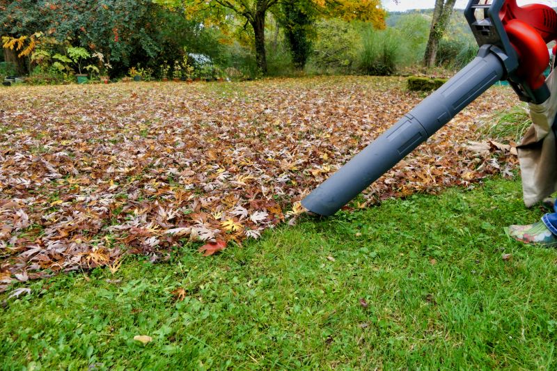 Autumn Lawn Care Equipment