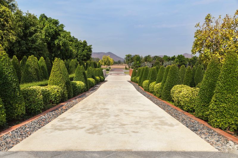 Trimmed Shrubs with Symmetry